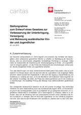 Zum Gesetzesentwurf zur Verbesserung der Situation ausländischer Kinder und Jugendlicher 